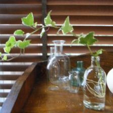 え!? 嬉し、恥ずかし・・・