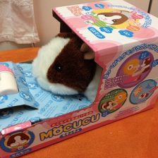 スーパー癒し系プレゼント♡