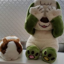 いないいないばぁ☆