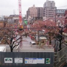 4月!春の季節になりました♪