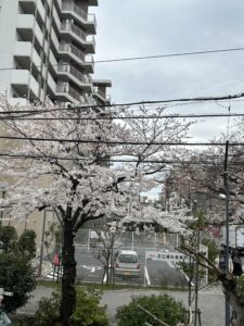 最近の日比谷歯科は・・・