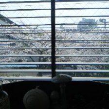 春・・・ 新生活に向けてのホワイトニング~♪