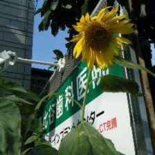 お休み明け・・・　