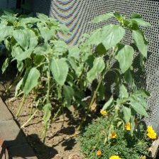 大好評SOSORO&ProFresh