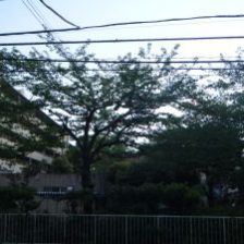 お休み・・・こんな時こそホワイトニング~!