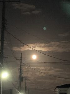 綺麗でしたね〜