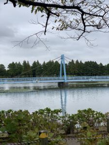 診療時間変更まであと1ヶ月・・・