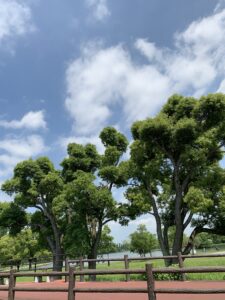 いいお天気ですね