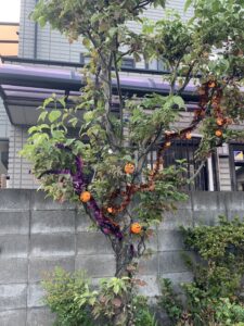 もうこんな時期か〜