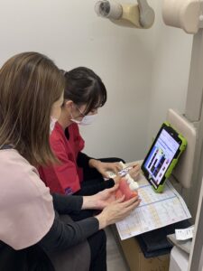 更新しました〜