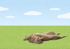 あっという間の9日間